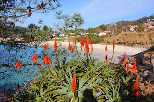 Playa de Santa Marta