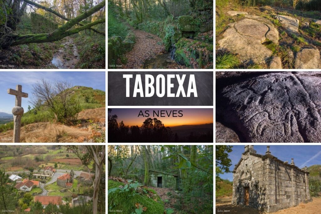 Taboexa