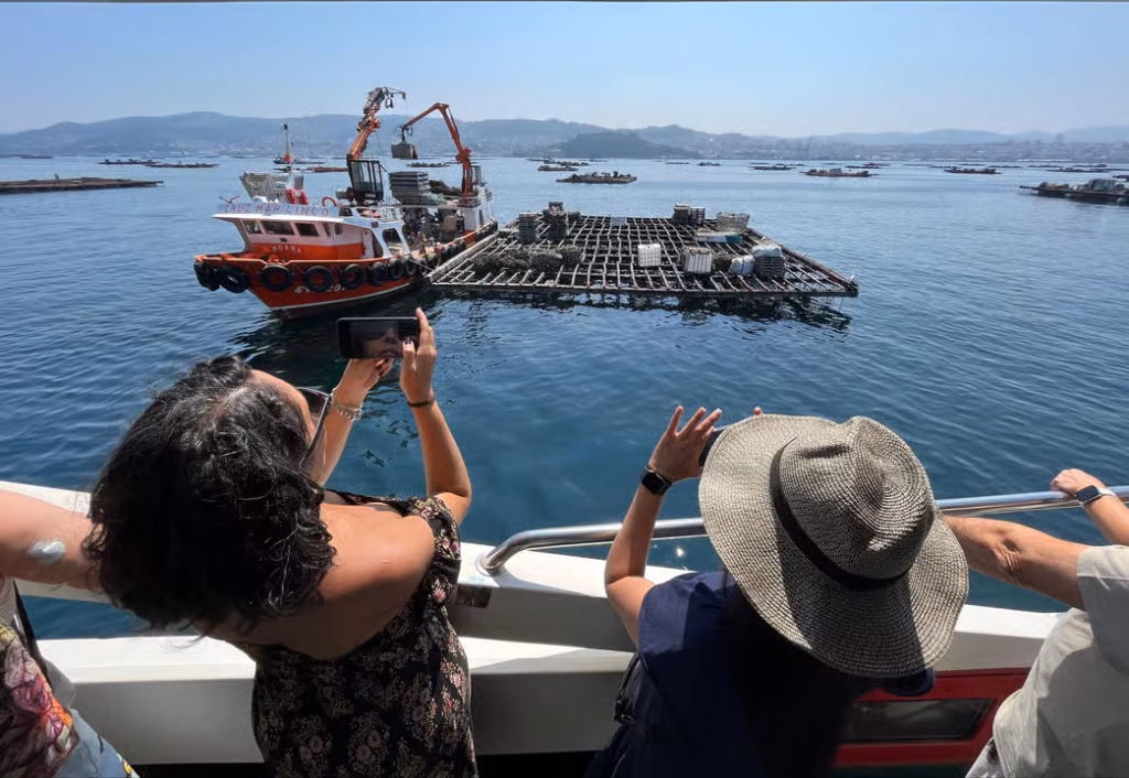 Ruta del mejillón en Vigo. Paseo en barco y degustación